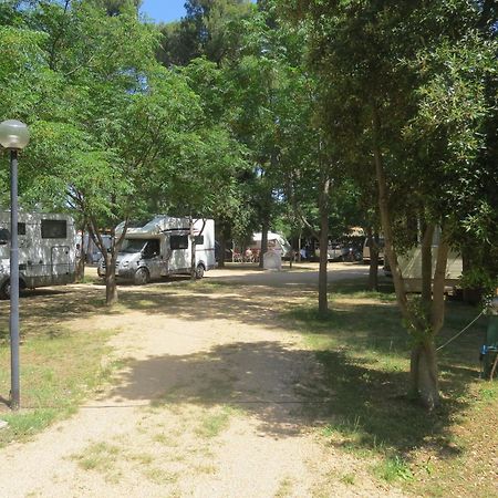 Camping Mia Bungalow & Mobile Home Biograd Na Moru Dış mekan fotoğraf