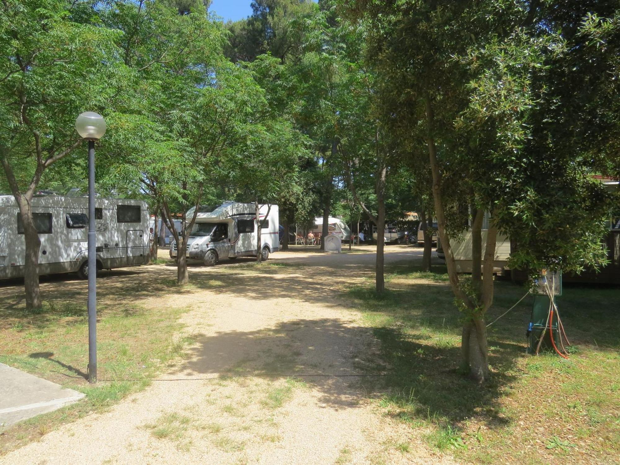 Camping Mia Bungalow & Mobile Home Biograd Na Moru Dış mekan fotoğraf